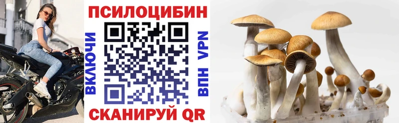 блэк спрут ссылки  Первоуральск  Псилоцибиновые грибы мухоморы  купить  